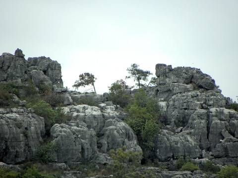 山野