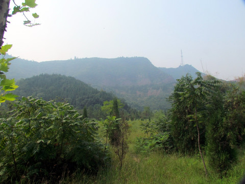 青山