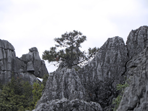 山野石林