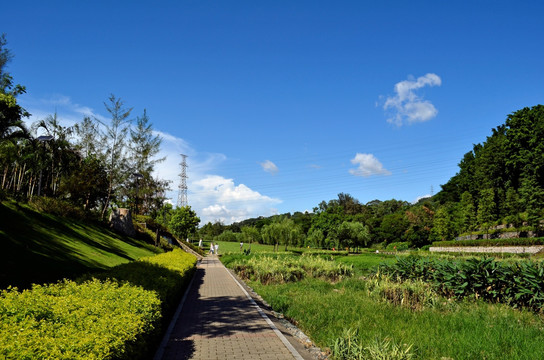 石板路