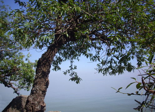 湖岸风光