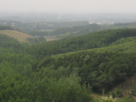 茶山远眺