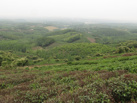 茶山远眺