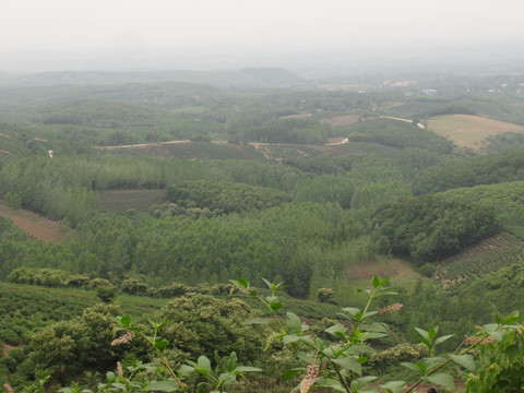 茶山远眺