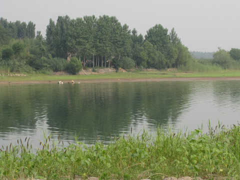 静静的湖湾