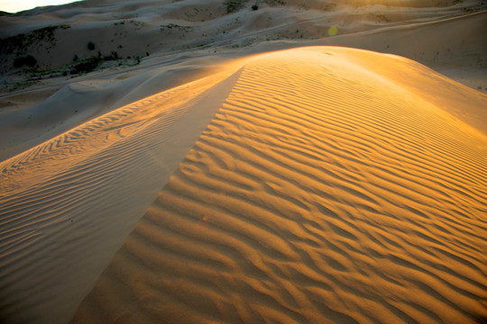 美丽的沙漠波纹