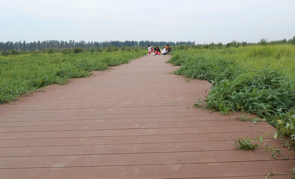 郑州黄河国家湿地公园