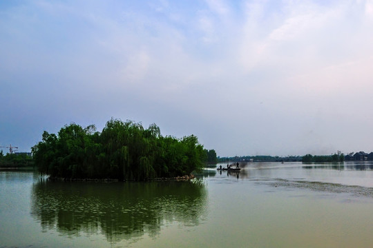 聊城湿地岛风光