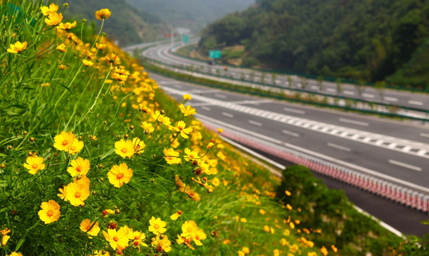 高速公路