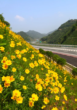 高速公路