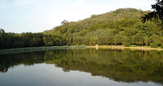 深圳莲花山公园