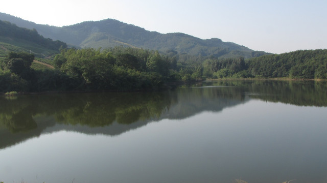 秋水悠长 施集茶山