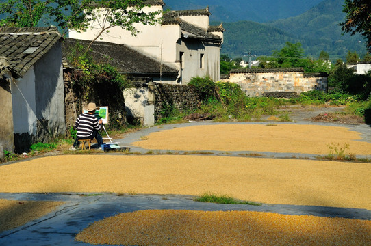 宏村风光