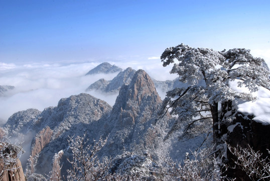 黄山云海雪景