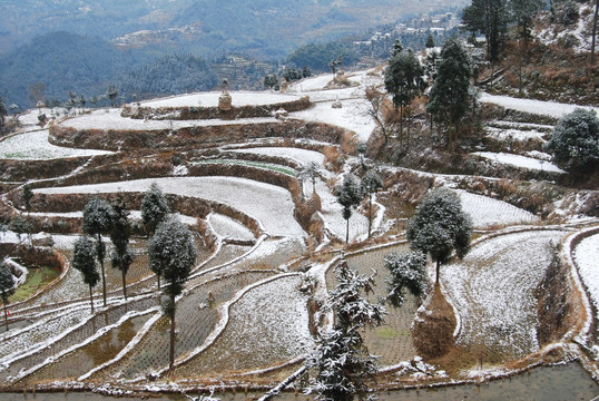 梯田雪景