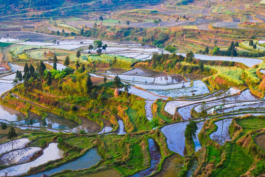 茗岙梯田