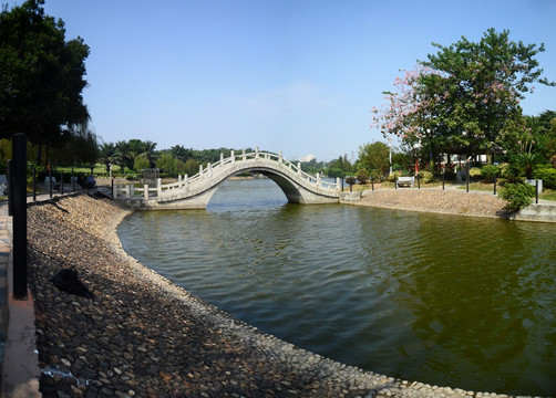 深圳市中山公园湖畔风景