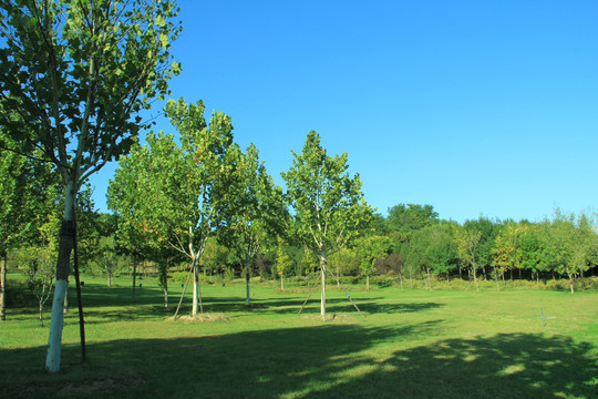 森林公园   景色   沿途风景