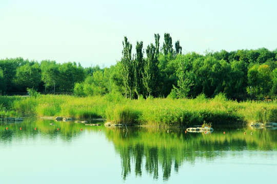 森林公园  湖景  沿途风景