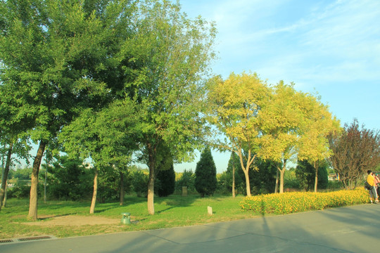 森林公园  秋景   沿途风景