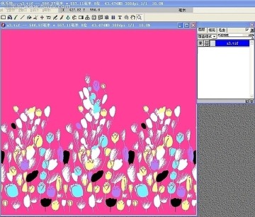訂位花（未分層）