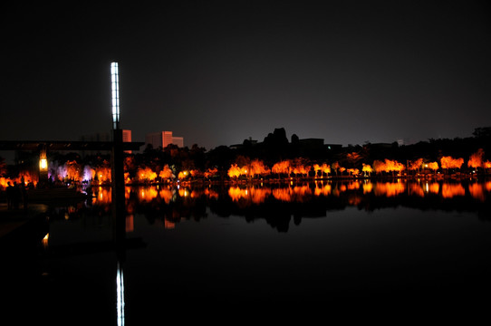 佛山千灯湖夜景