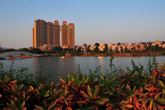 阳江鸳鸯湖风景 美丽湖畔