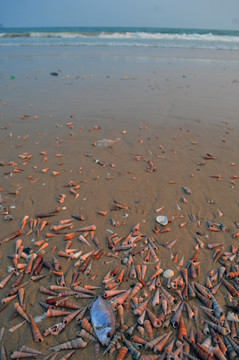 阳江珍珠湾 海边环保