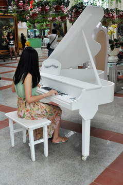 百万葵园 弹钢琴