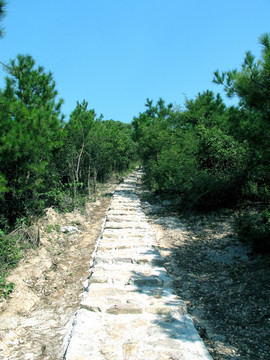 山间小路