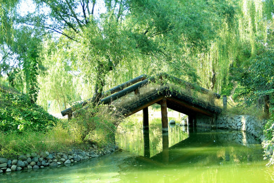 沿途的风景  木桥