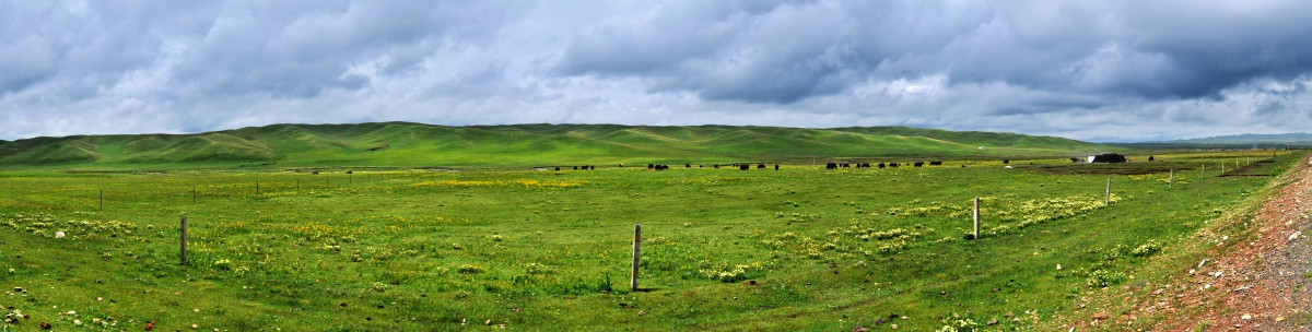 甘肃夏河草原牧场全景图