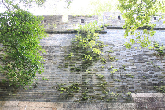 旧城墙