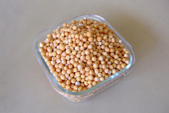 杂粮  豌豆