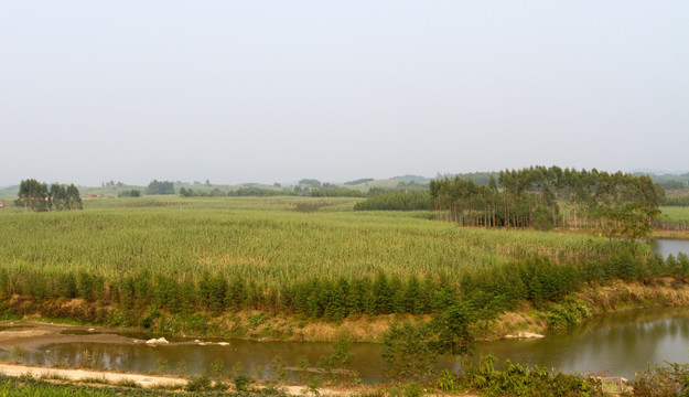 田野秋景