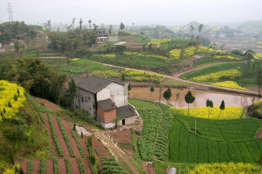 重庆 山区农家