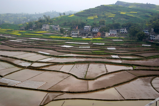 重庆 山区农田