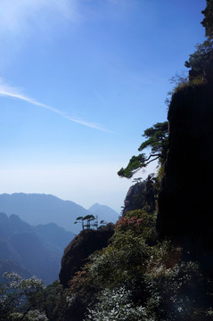 三清山奇峰奇松风景