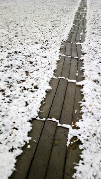 雪中的小路