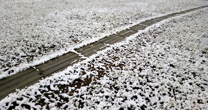 雪中的小路