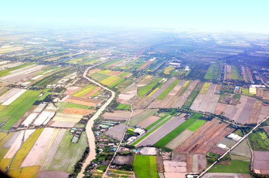 鸟瞰 田野