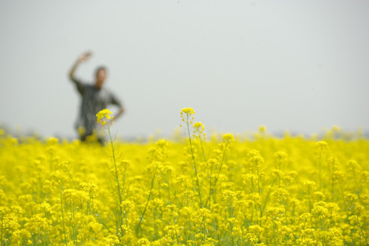 人影花田