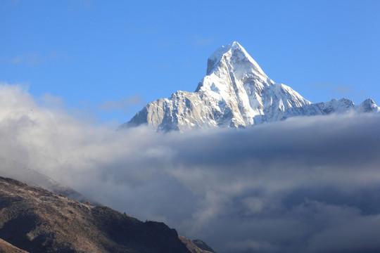 四姑娘山