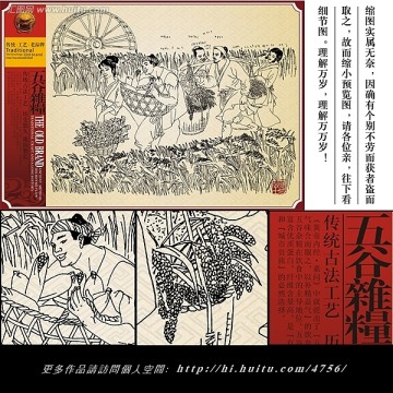 五谷雜糧 莊稼 養(yǎng)生 傳統(tǒng)文化