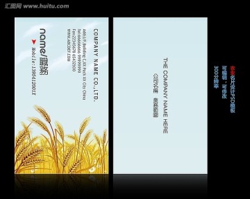 金黄色小麦农业名片设计