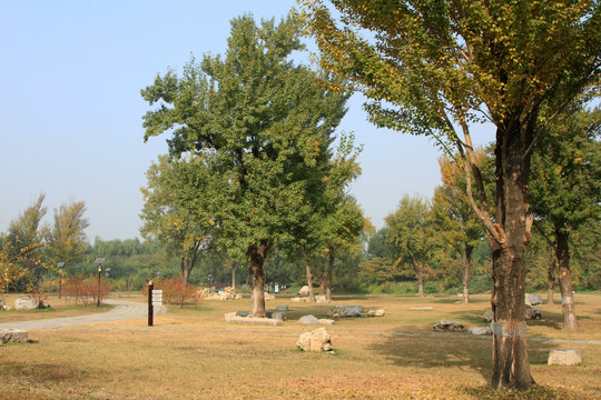 圆明园 正大光明遗址景区