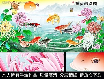 菊花 鯉魚 菊花鯉魚圖