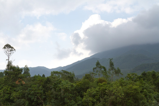 防城港南山景区 云中的南山