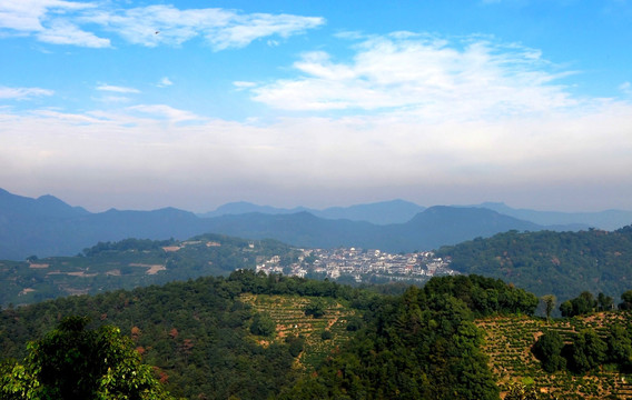 龍井村