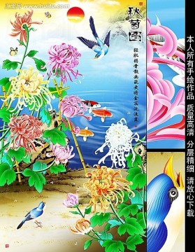 菊花 鯉魚 工筆畫